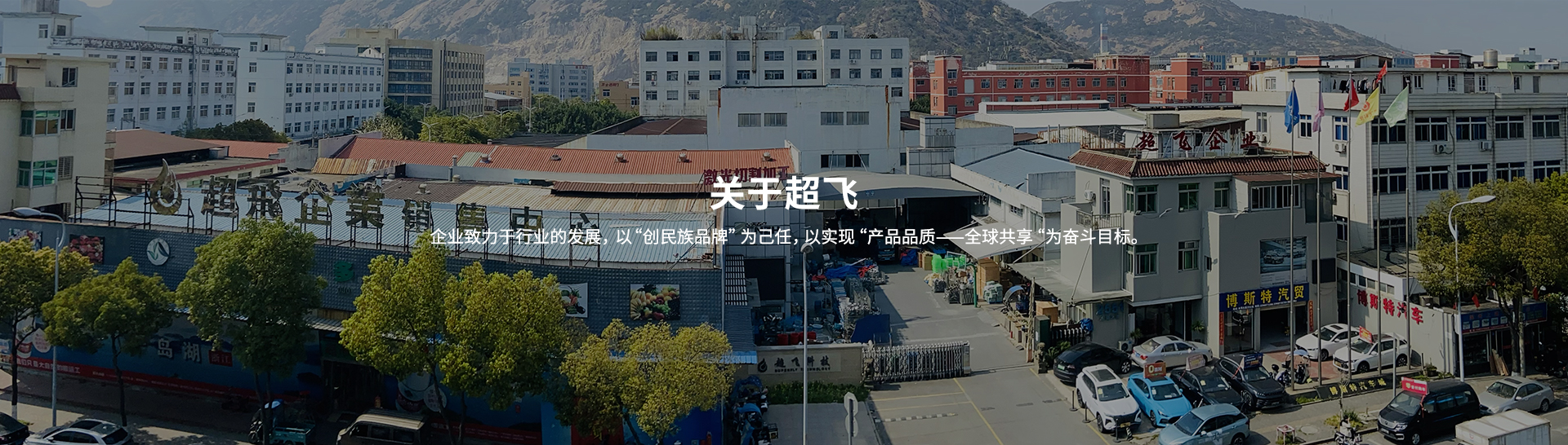 衛(wèi)生級止回閥，快裝閥門廠家